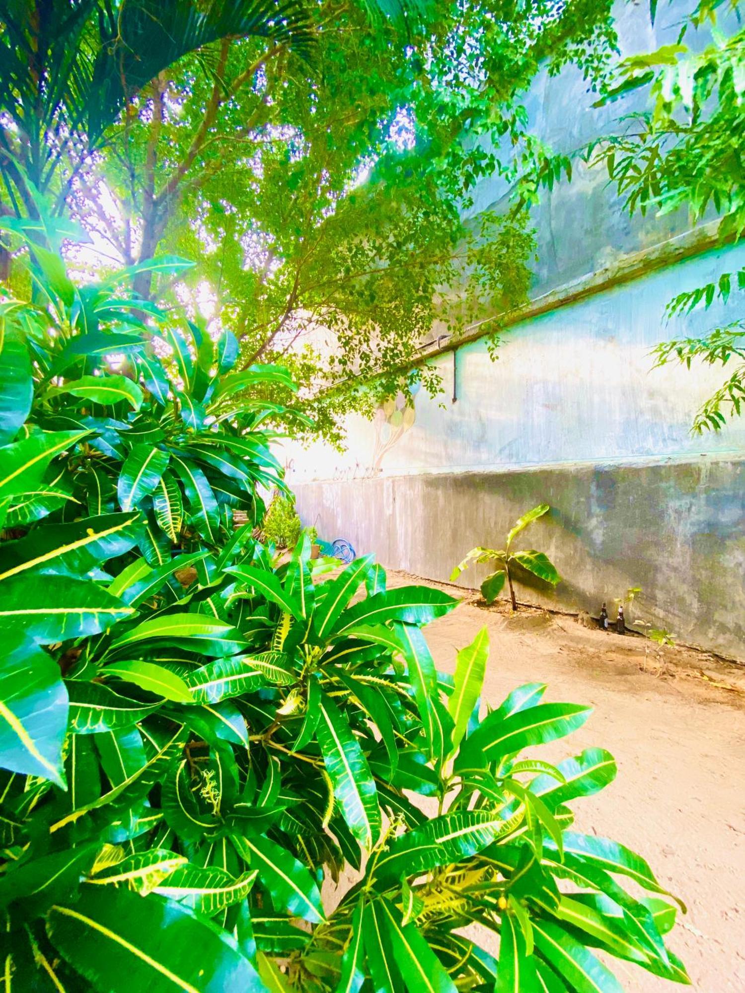 Marina Way Hotel Arugam Bay Exterior photo
